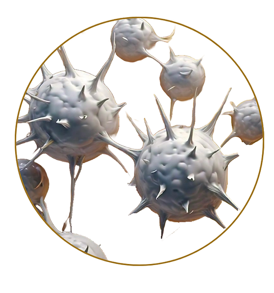 Traditional PRP platelets